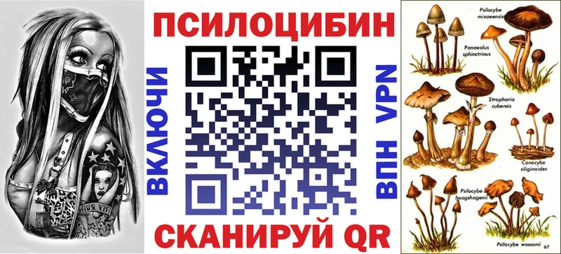 Галлюциногенные грибы Magic Shrooms KRAKEN как войти Большой Камень где продают наркотики