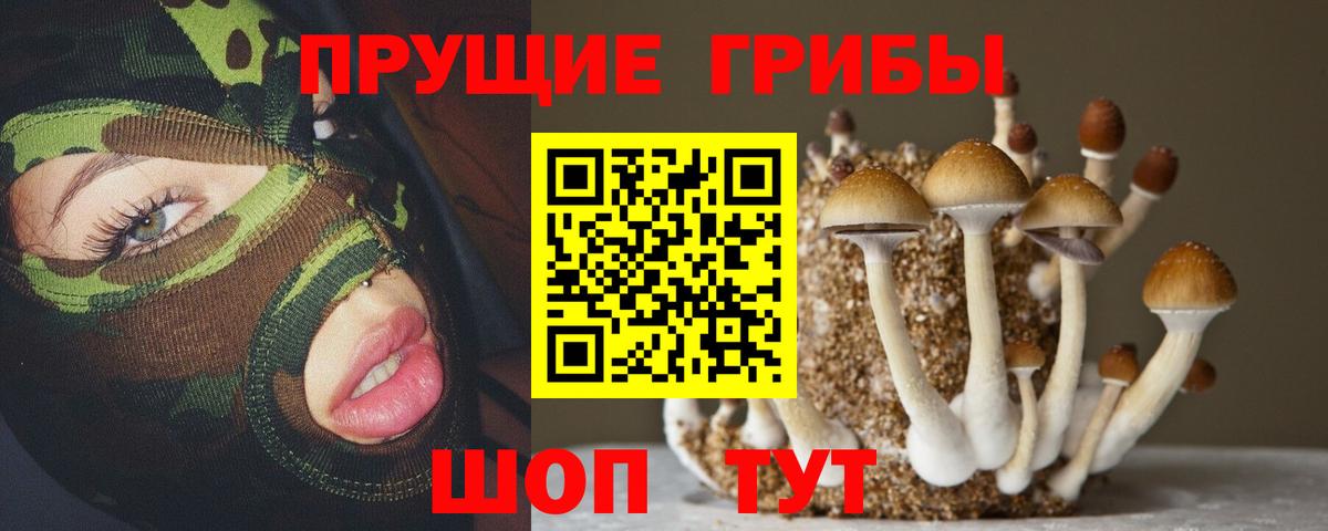 Псилоцибиновые грибы мухоморы Большой Камень