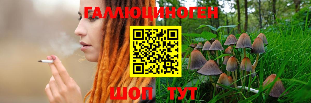 Галлюциногенные грибы мицелий  Вход с VPN  Галлюциногенные грибы Psilocybine cubensis  Большой Камень 
